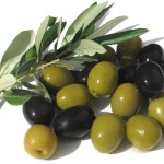 olivki-i-masliny
